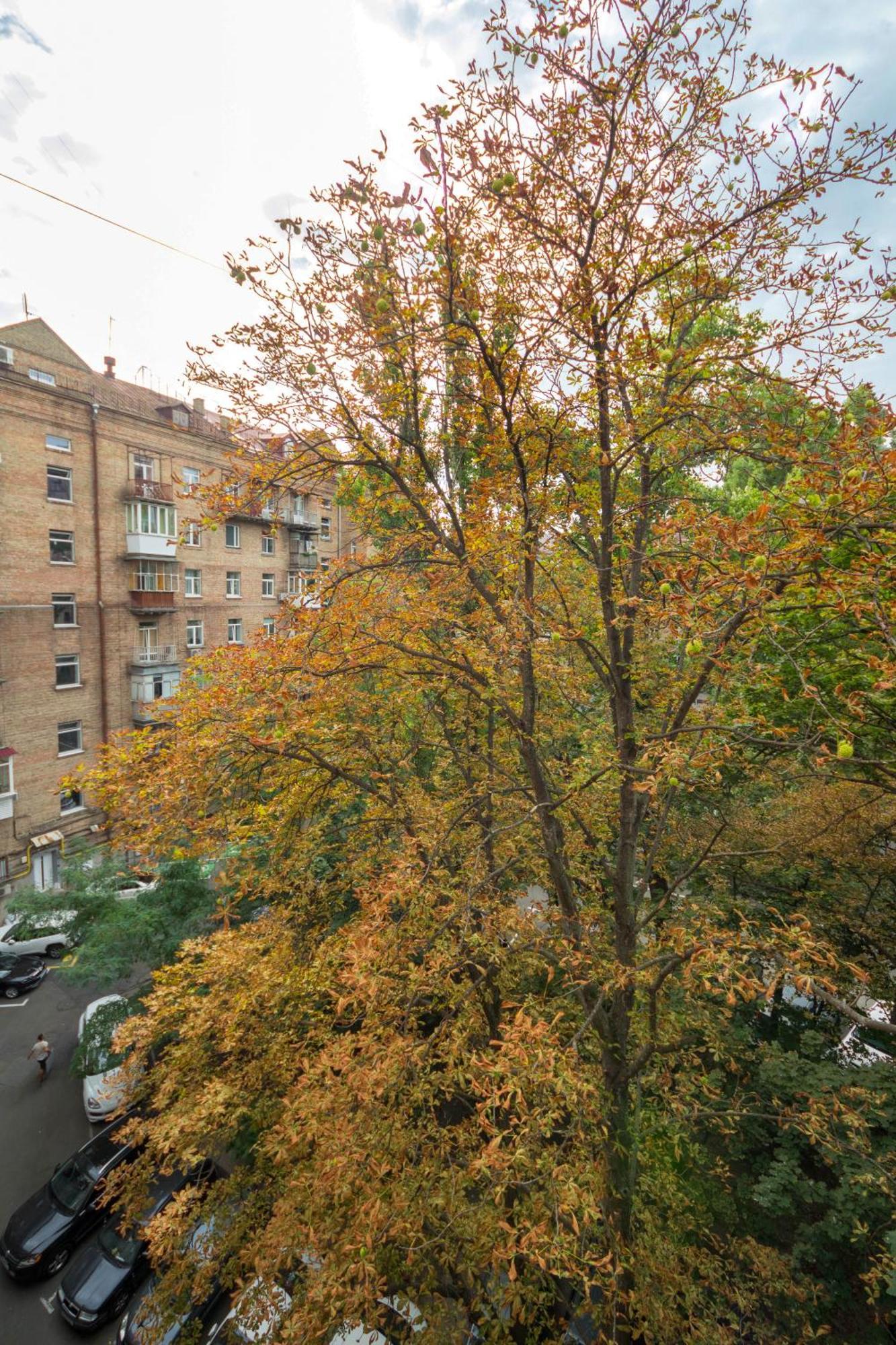 קייב Central Apartments מראה חיצוני תמונה
